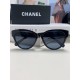 CHANEL SUNGLASSES CHANEL SUNGLASSES