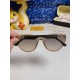 LV SUNGLASSES LV SUNGLASSES