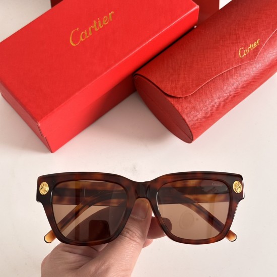 Cartier Sunglasses