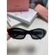 MiuMiu Sunglasses