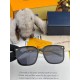 LV SUNGLASSES LV SUNGLASSES