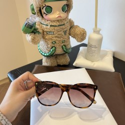 LV SUNGLASSES