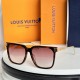 LV SUNGLASSES LV SUNGLASSES