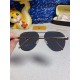 LV SUNGLASSES LV SUNGLASSES
