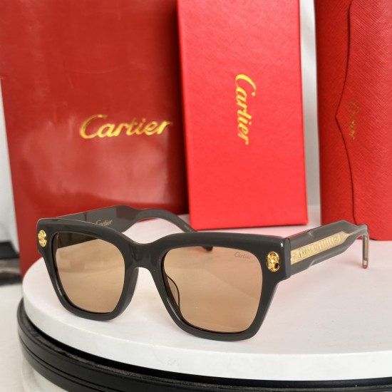 Cartier Sunglasses