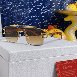 Cartier Sunglasses