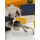 LV SUNGLASSES LV SUNGLASSES