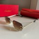 Cartier Sunglasses