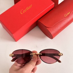 Cartier Sunglasses