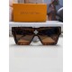 LV SUNGLASSES LV SUNGLASSES
