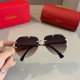 Cartier Sunglasses