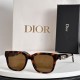 Dior SUNGLASSES