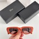 Dior SUNGLASSES Dior SUNGLASSES