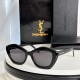 YSL SUNGLASSES