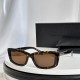 YSL SUNGLASSES