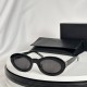 YSL SUNGLASSES