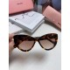 MiuMiu Sunglasses