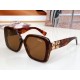 MiuMiu Sunglasses