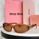 MiuMiu Sunglasses