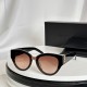 YSL SUNGLASSES