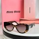 MiuMiu Sunglasses