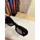 MiuMiu Sunglasses