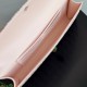 Bottega Veneta Andiamo Clutch