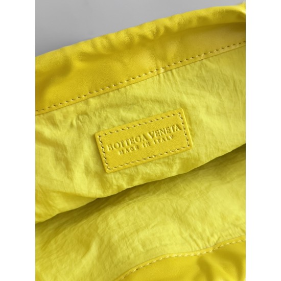 Bottega Veneta Dustbag