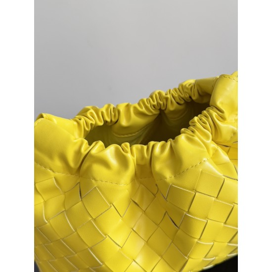 Bottega Veneta Dustbag