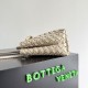 Bottega Veneta Small Andiamo