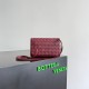 BottegaVeneta Andiamo Daisy Pouch