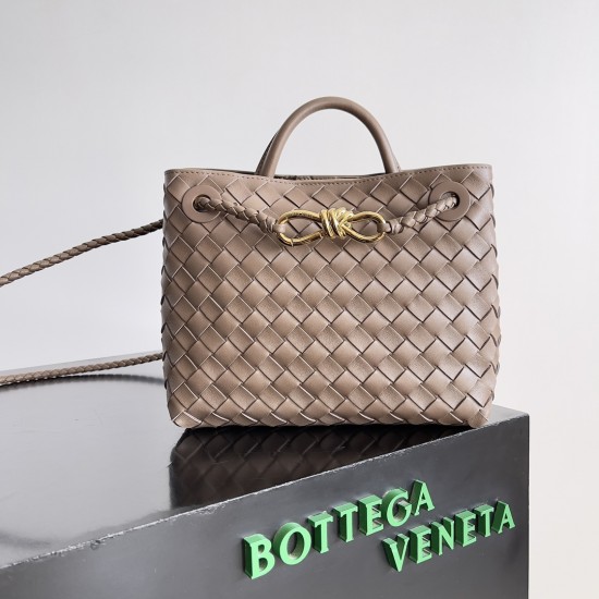 Bottega Veneta Small Andiamo