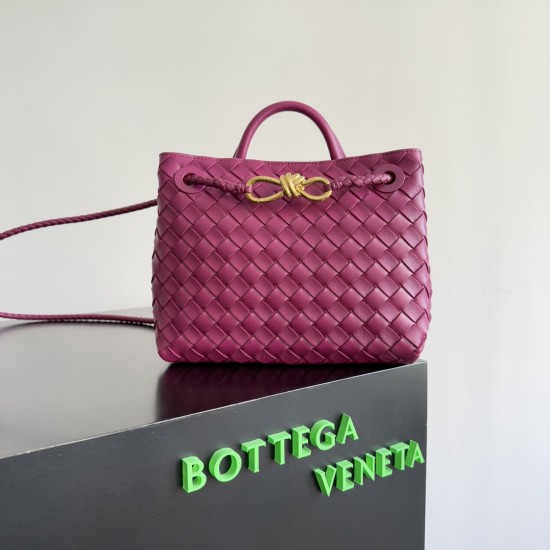 Bottega Veneta Small Andiamo
