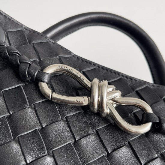 Bottega Veneta Small Andiamo
