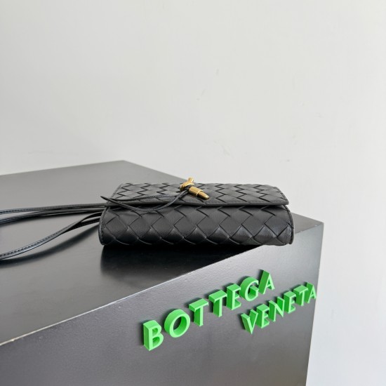 Bottega Veneta Andiamo Pouch
