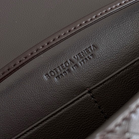 Bottega Veneta Andiamo Pouch