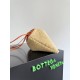 Bottega Veneta Dustbag