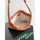 Bottega Veneta Dustbag