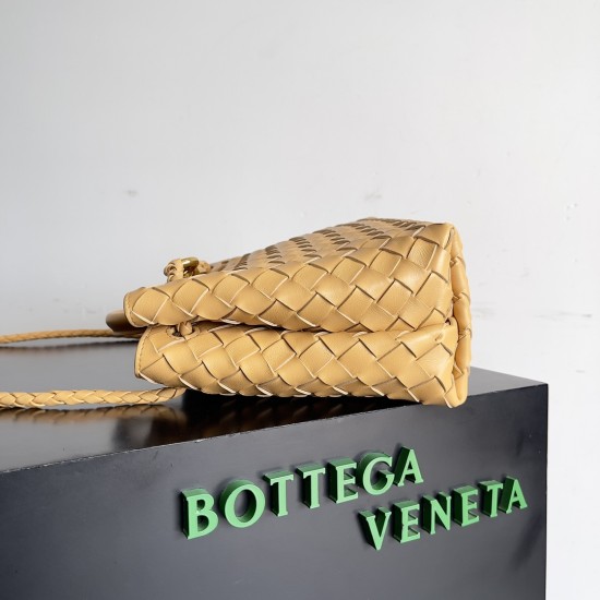 Bottega Veneta Small Andiamo