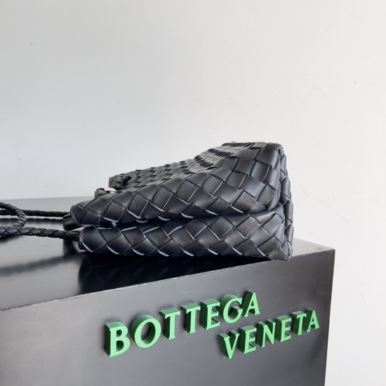 Bottega Veneta Small Andiamo