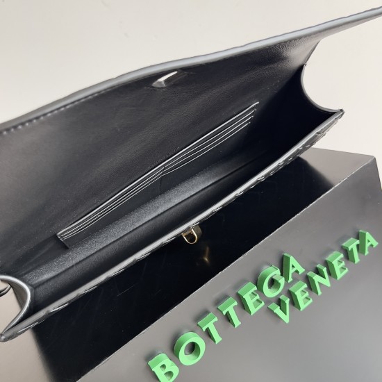 Bottega Veneta Andiamo Clutch