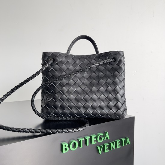 Bottega Veneta Small Andiamo