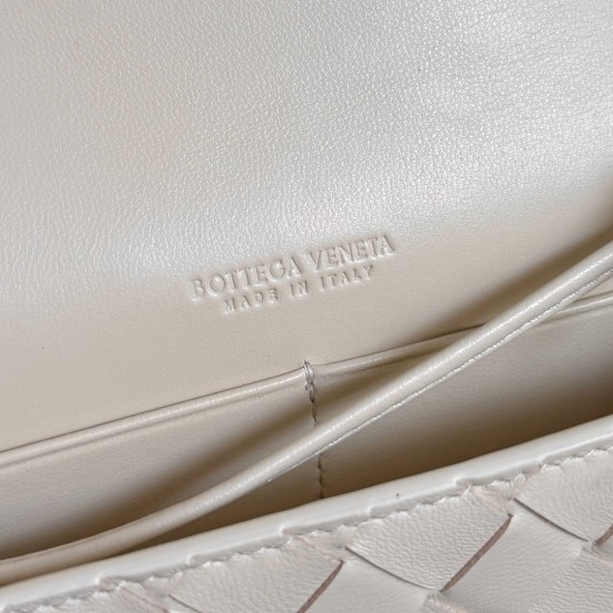BottegaVeneta Andiamo Daisy Pouch