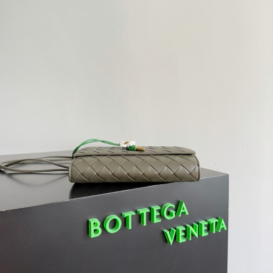 BottegaVeneta Andiamo Daisy Pouch