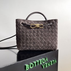 Bottega Veneta Small Andiamo
