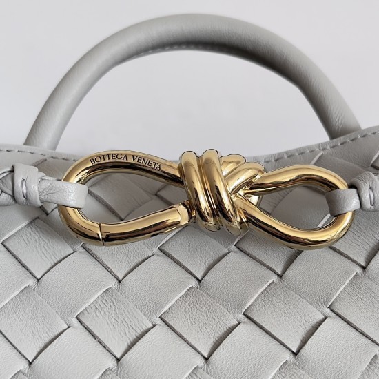 Bottega Veneta Small Andiamo