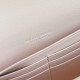Bottega Veneta Andiamo Clutch