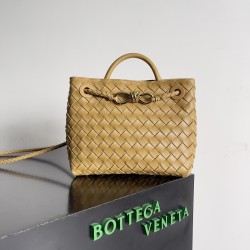 Bottega Veneta Small Andiamo