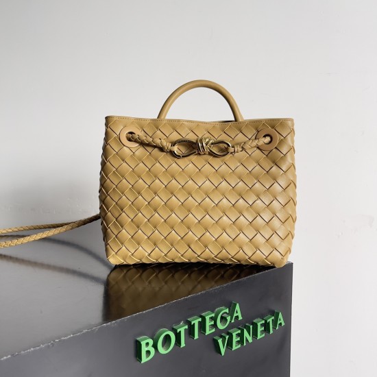 Bottega Veneta Small Andiamo