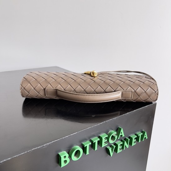 Bottega Veneta Andiamo Clutch